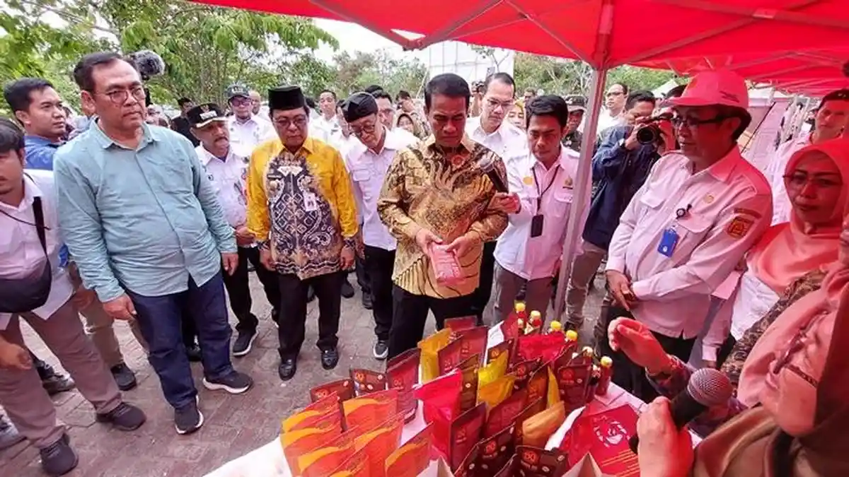 Punya Potensi Lahan Rawa, Kalsel Jadi Target Tahap Awal Program Swasembada Pangan Kementan  