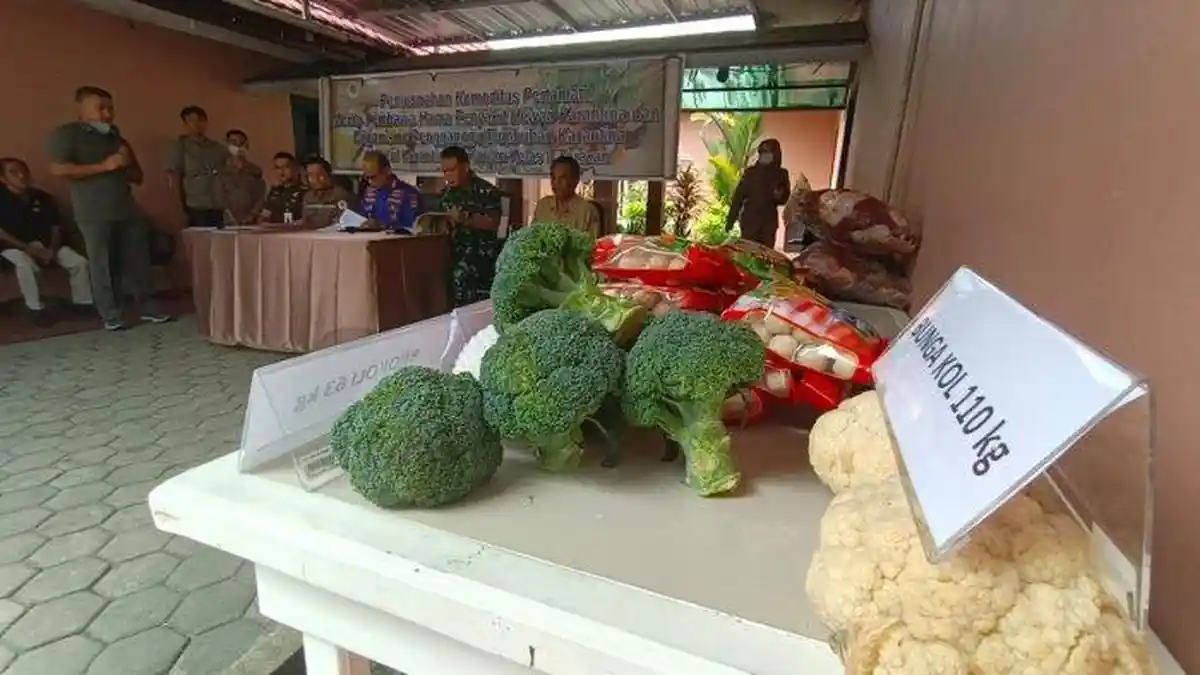 Kantor Balai Karantina Pertanian Tarakan Musnahkan 2.742 Kilogram Daging Ilegal