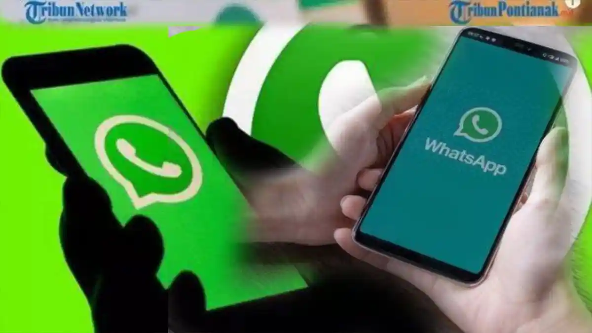  Apa Itu Message Yourself pada WhastApp? Begini Fungsi dan Cara Menggunakannya!