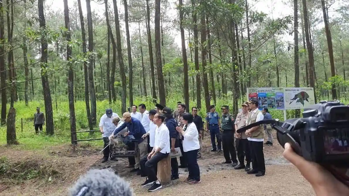 Presiden Jokowi Lepas Sepasang Elang Jawa di Merapi