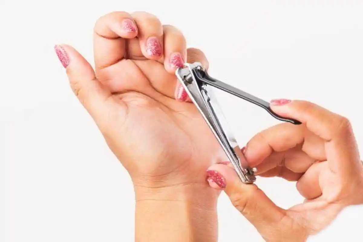 Hukum Potong Kuku Sebelum Kurban dan Larangan Lainnya bagi Orang Berkurban di Idul Adha 2024