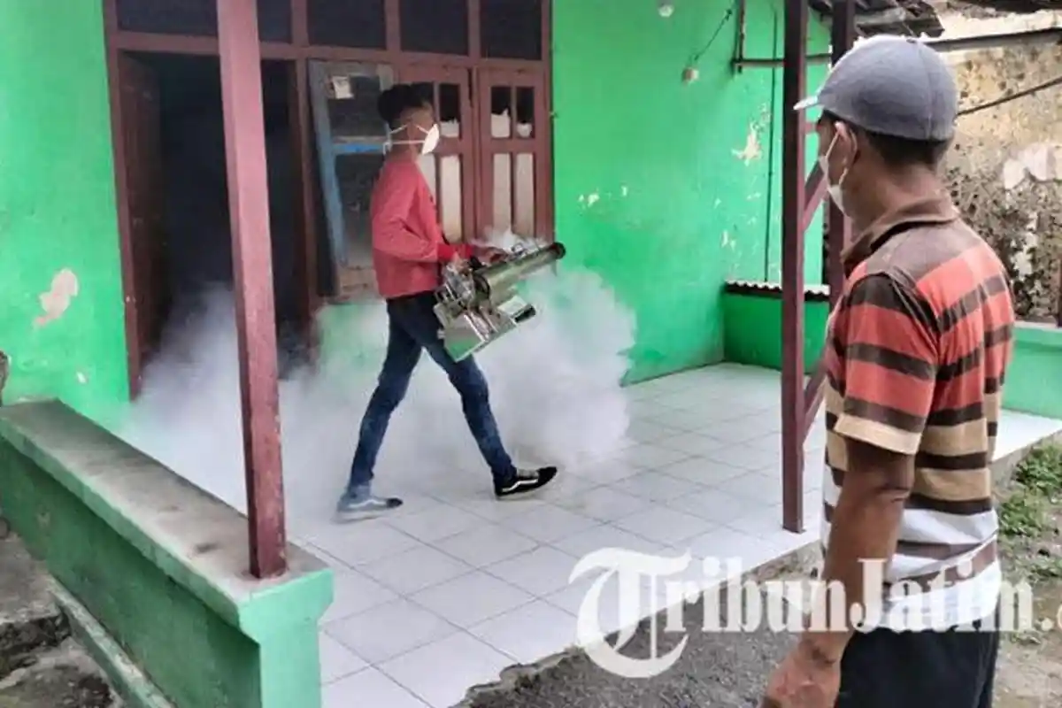 Kasus DBD Merebak Pasca Banjir Melanda Mojokerto, Petugas Lakukan Fogging Serentak