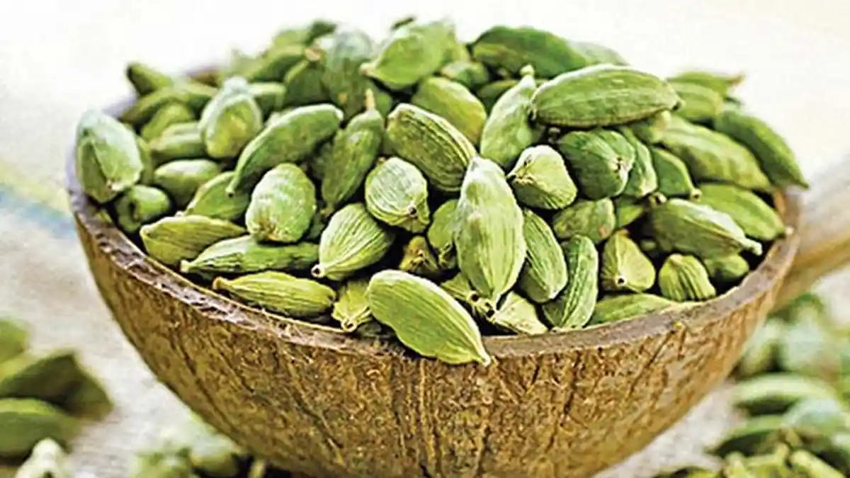 6 Herbal dan Bumbu Dapur Sebagai Obat Tradisional yang Bikin Kesehatan Anda Lebih Baik