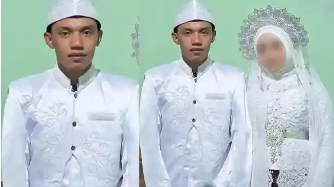 Tribun