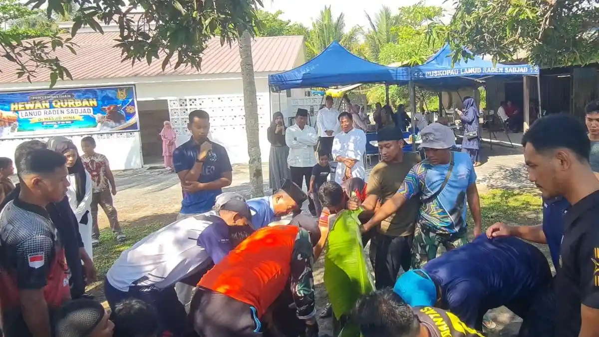 Lanud RSA Natuna Kurban 6 Ekor Sapi, Ratusan Kilo Daging Dibagikan ke Warga hingga Anak Yatim