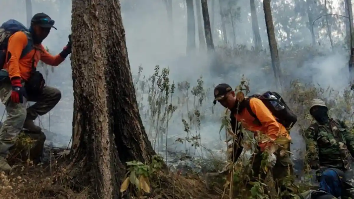 Munculnya Titik Api Baru, BPBD Jatim Gunakan Water Bombing untuk Padamkan Kebakaran Gunung Arjuno