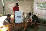 Rumah-Amal-bersama-Masjid-Salman-ITB-memperluas-distribusi-hewan-kurban.jpg