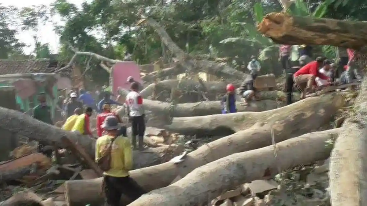 Pohon Besar Tumbang Timpa 5 Rumah di Ciater Subang, Tewaskan 1 Orang
