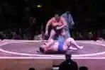Petarung Sumo Saling Menjatuhkan