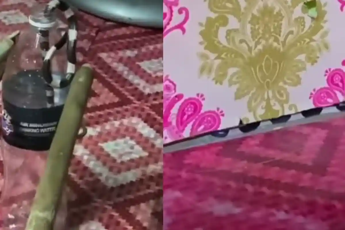 TEMANI Anak Belajar, Pria Ini Syok Diintai Ular, Sempat Dipuji Lucu Ternyata Beracun, Berujung Maut!