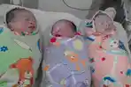 bayi-kembar-tiga_20160608_125222.jpg