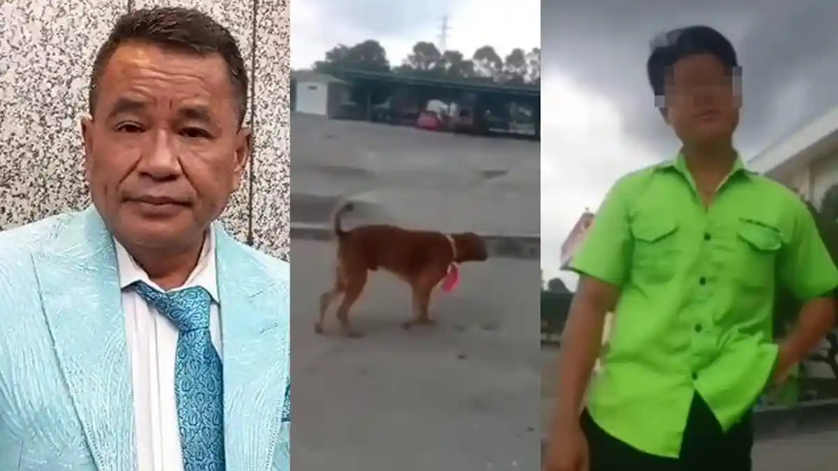 Bersama Hotman Paris, Pecinta Hewan Siap Bantu Bebaskan Tersangka Kalungkan Bendera di Anjing