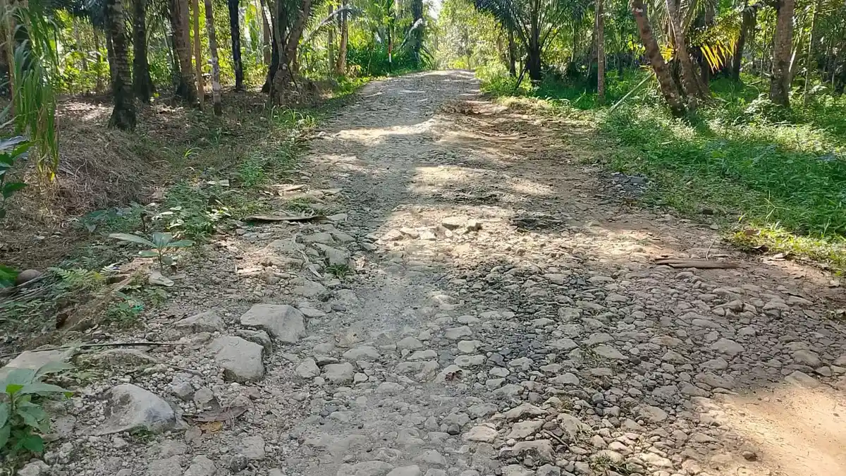 Sudah 3 Generasi, Jalan di Cimerak Pangandaran Ini Dibiarkan Berbatu