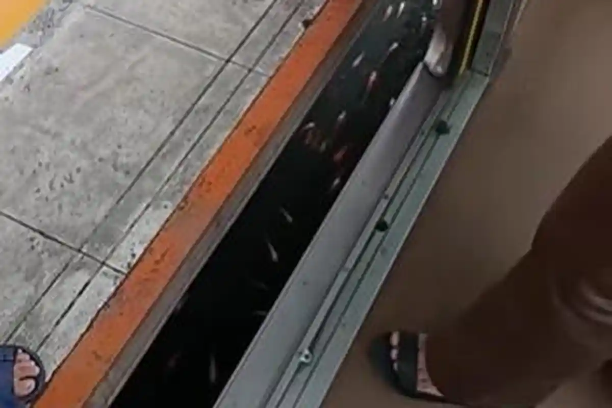 Unik! Ada Kolam Ikan di Kolong Peron 2 Stasiun Taman Kota, Pengguna KRL Banyak yang 'Tak Sadar'