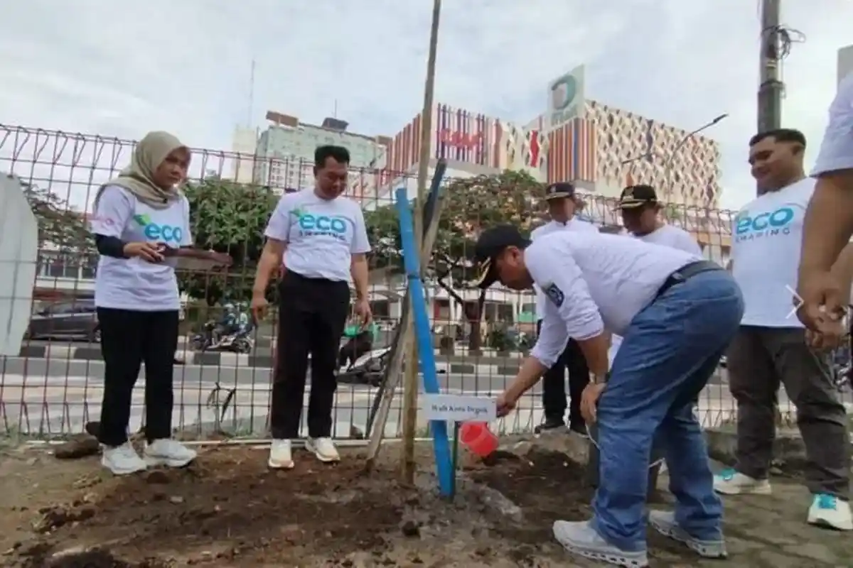  Jalan Margonda Terus Dipercantik, Pemkot Depok Tanam Pohon Tabebuya Pink