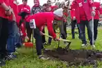 Tanam-pohon-DPD-PDI-Jatim-semeru.jpg