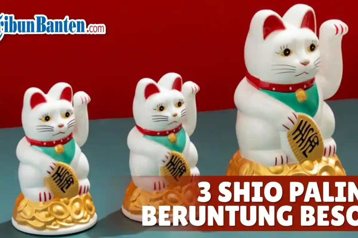 3 Shio Paling Beruntung Besok 19 Januari 2025, Transaksi Shio Monyet Membuahkan Hasil