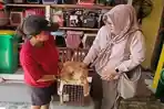 Silvi-Tempat-Penitipan-Hewan-Kucing-asdas.jpg