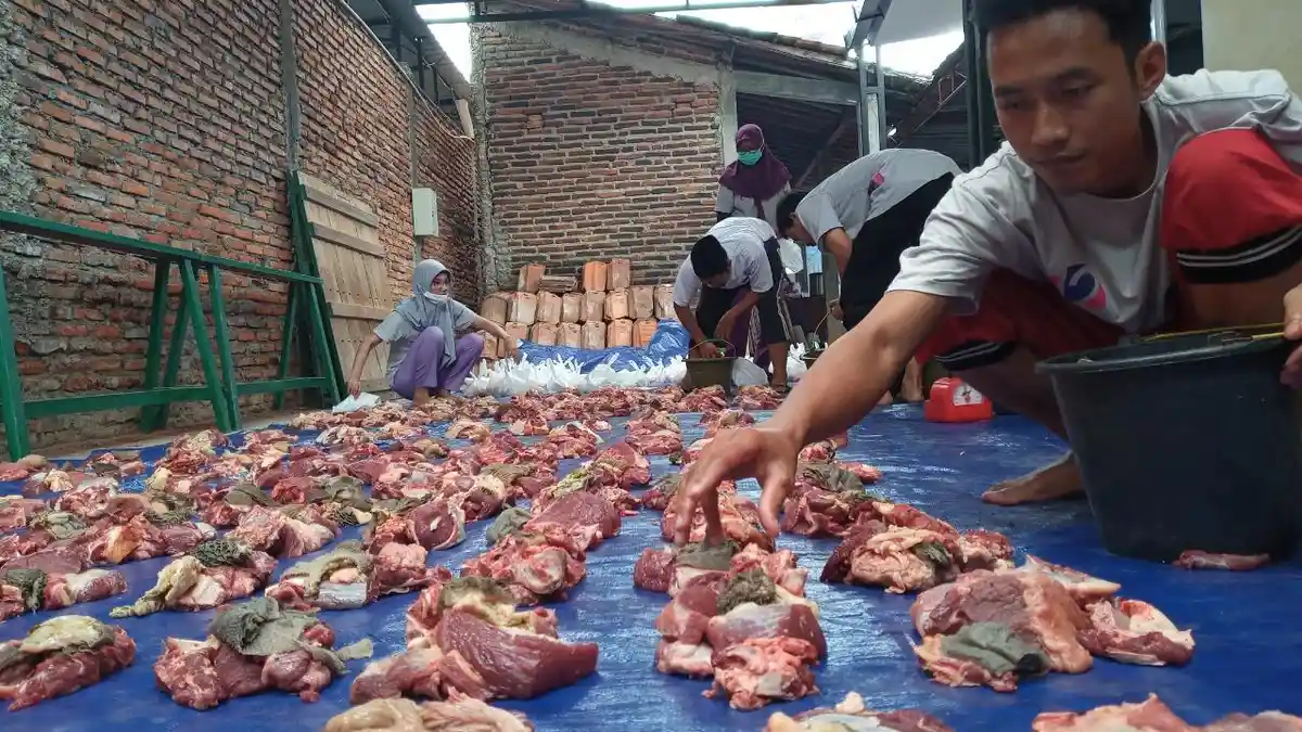 Berikut 3 Golongan yang Berhak Menerima Daging Kurban, Yang Berkurban Dapat Berapa