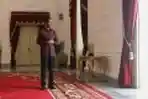Presiden Joko Widodo Terima Kunjungan Putri Astrid