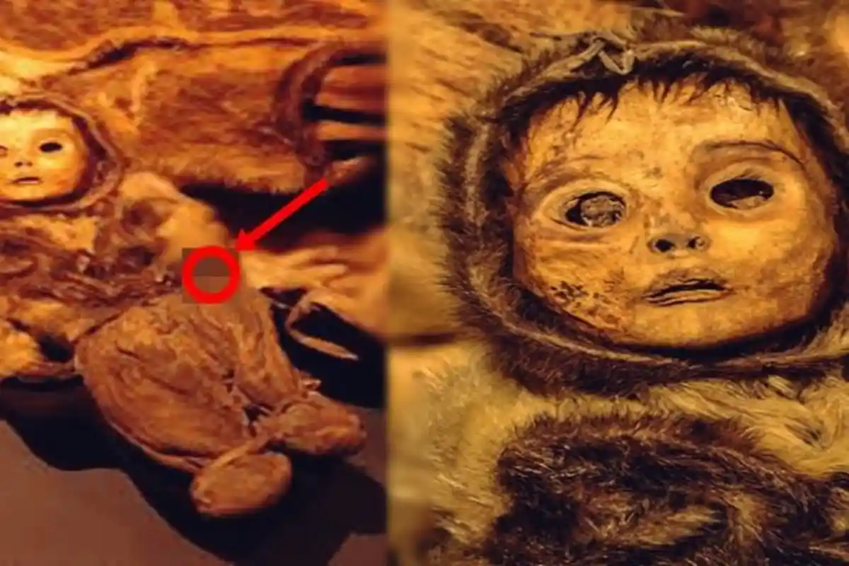 Dikira Boneka, Ternyata Benda Menyeramkan yang Ditemukan dalam Kuburan Ini Adalah. . .