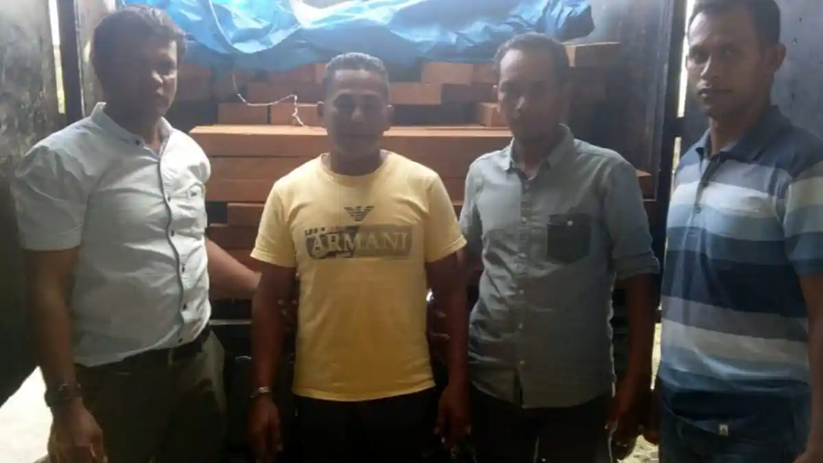 Polres Pidie Jaya Bekuk Pelaku Pembalakan Liar, Ini Barang Bukti Diamankan