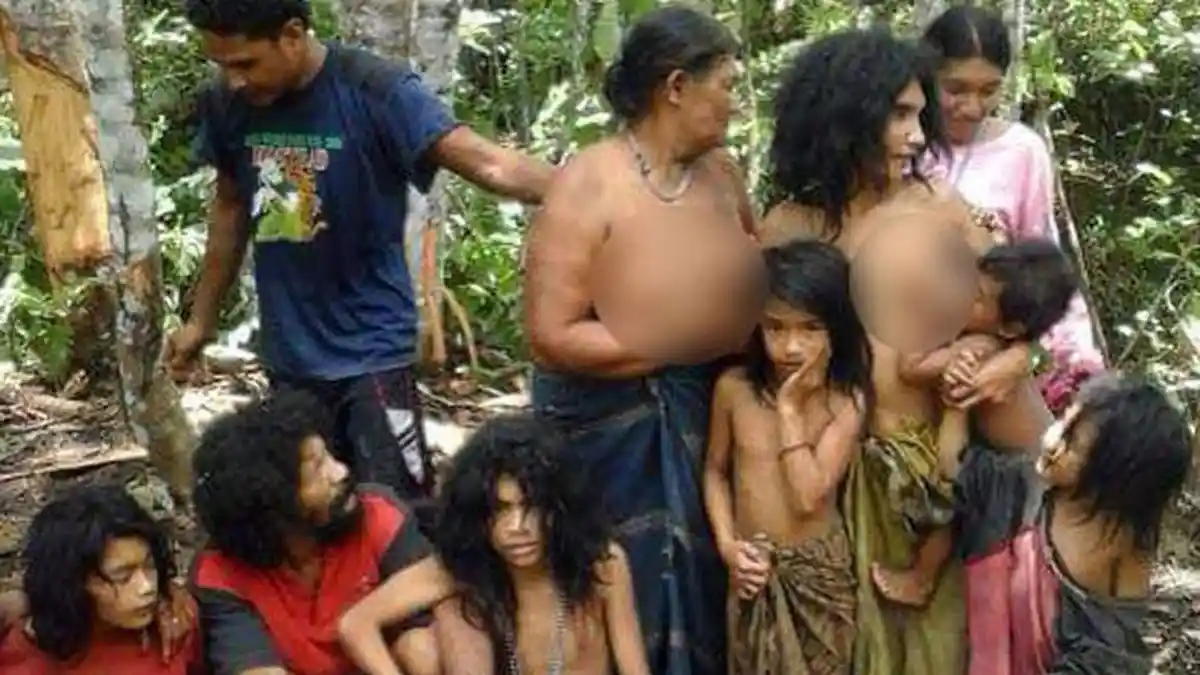 Kisah Orang Rimba Halmahera yang Hijrah dari Setengah Bugil jadi ...