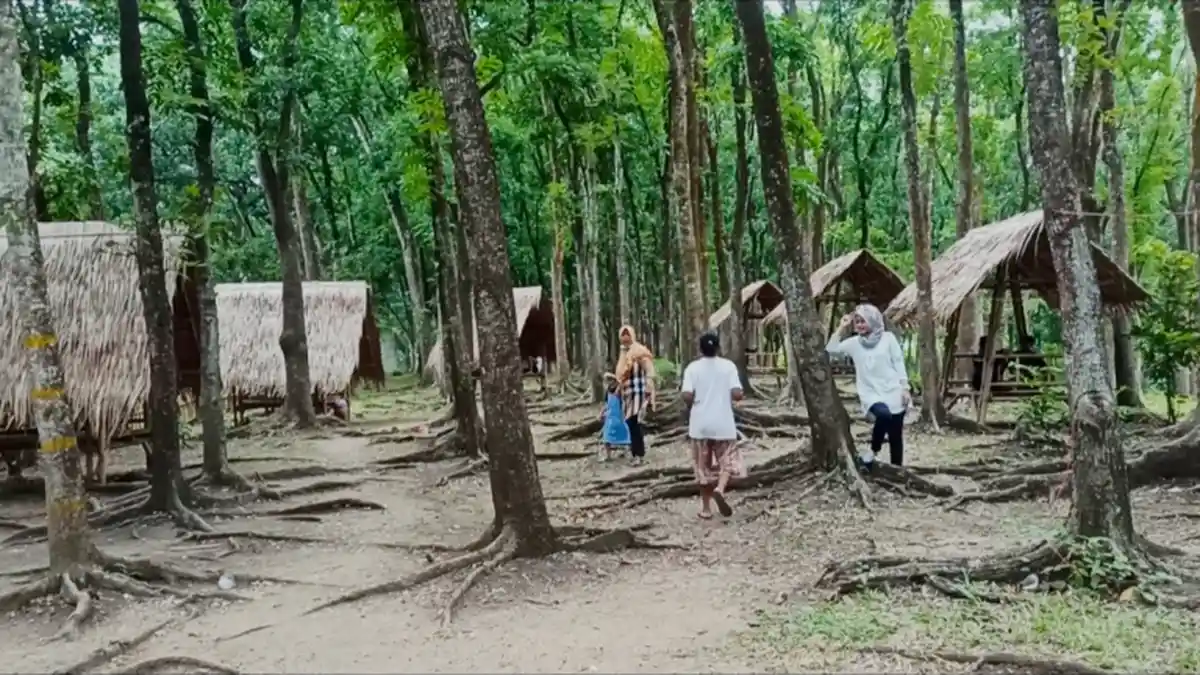 Tempat Tongkrong Baru di Blora, Tawarkan Suasana Syahdu dengan Hawa Alam di Bawah Pohon Jati