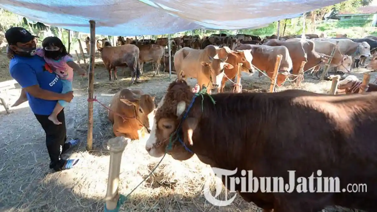 Makna Idul Adha saat Pandemi Covid-19 Bagi Armuji, Momentum Saling Peduli & Berbagi: Tetap Semangat