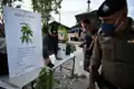 Perayaan Legalisasi Ganja di Thailand