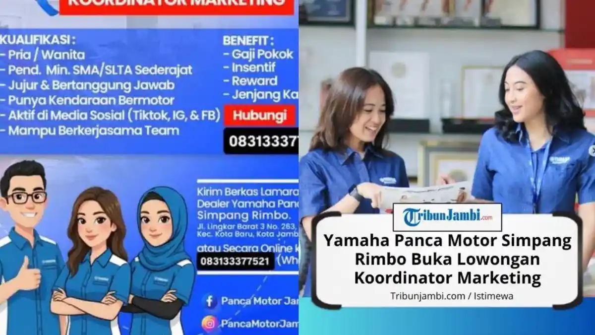 Lowongan Kerja Jambi: Dealer Yamaha Panca Motor Simpang Rimbo Buka Posisi Koordinator Marketing - Tribunjambi.com