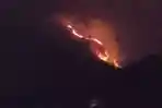 gunung-ungaran-terbakar.jpg
