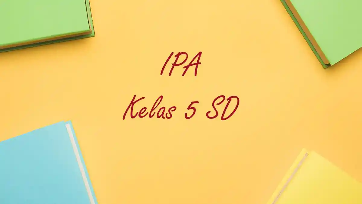 CONTOH Soal Penilaian Akhir Semester PAS IPA Kelas 5 Semester 1 dan Kunci Jawabannya