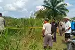 wanita-hamil-kebun-tebu-2025.jpg