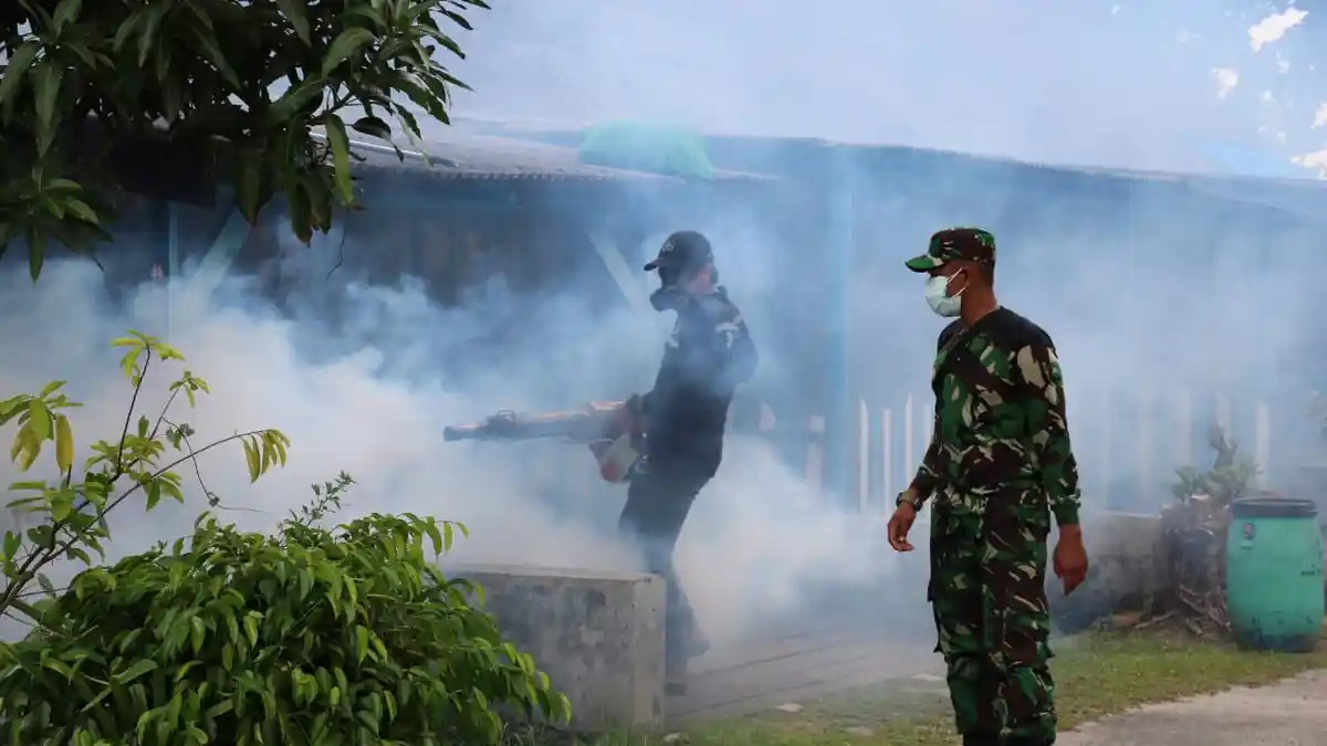 Waspada Demam Berdarah Dengue, bisa Renggut Nyawa Penderita