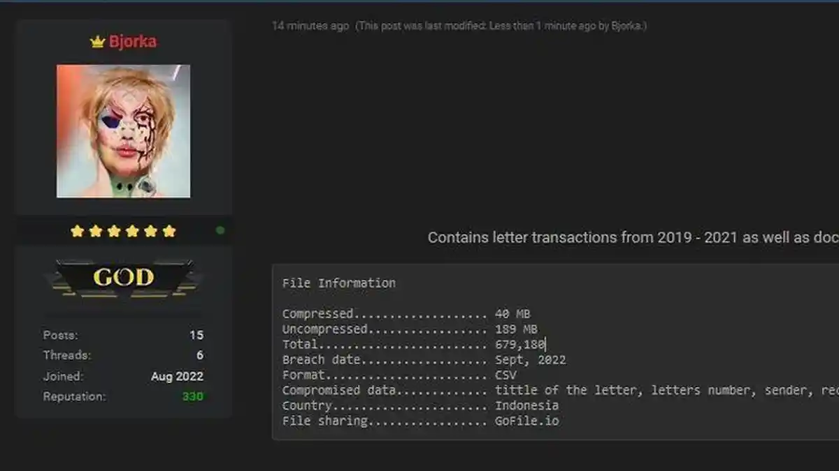 Hacker Bjorka Tebar Ancaman Lagi, Bakal Bocorkan Database MyPertamina, Dukung Demo BBM