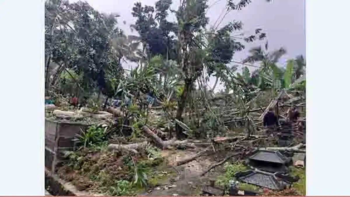 Cuaca Ekstrem Sebabkan Pohon Tumbang hingga Menimpa Kabel dan Rompok Warga di Tegalalang Gianyar