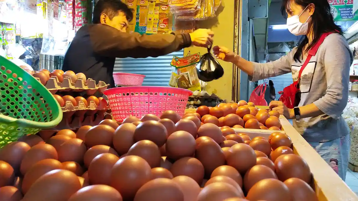 Harga Telur dan Daging Ayam Melonjak, Kepala Bapanas: Biaya Produksi Naik