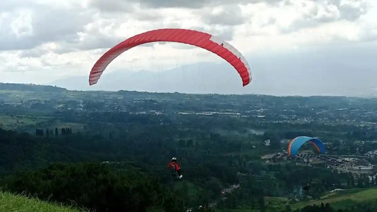 Sejarah Wisata Paralayang Puncak Bogor, Sudah Ada Sejak 1989, Mulai ...