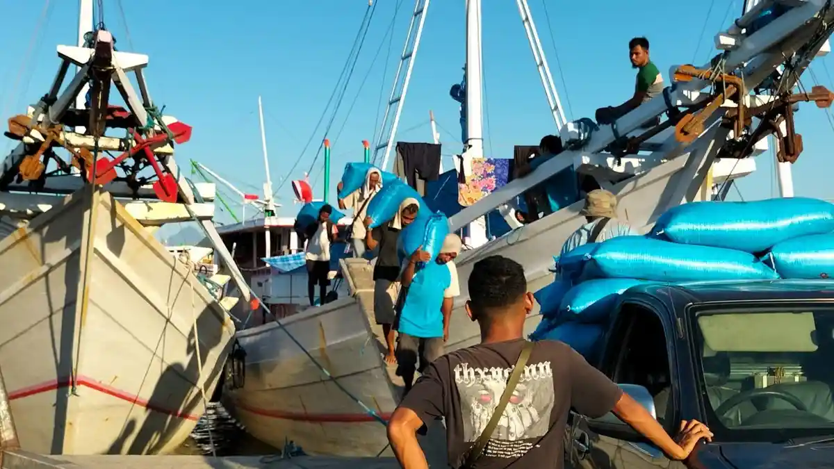 Persaingan Harga Beras Magepanda dan Beras Sulawesi di Sikka, Ada yang Beli Langsung di Pelra Wuring