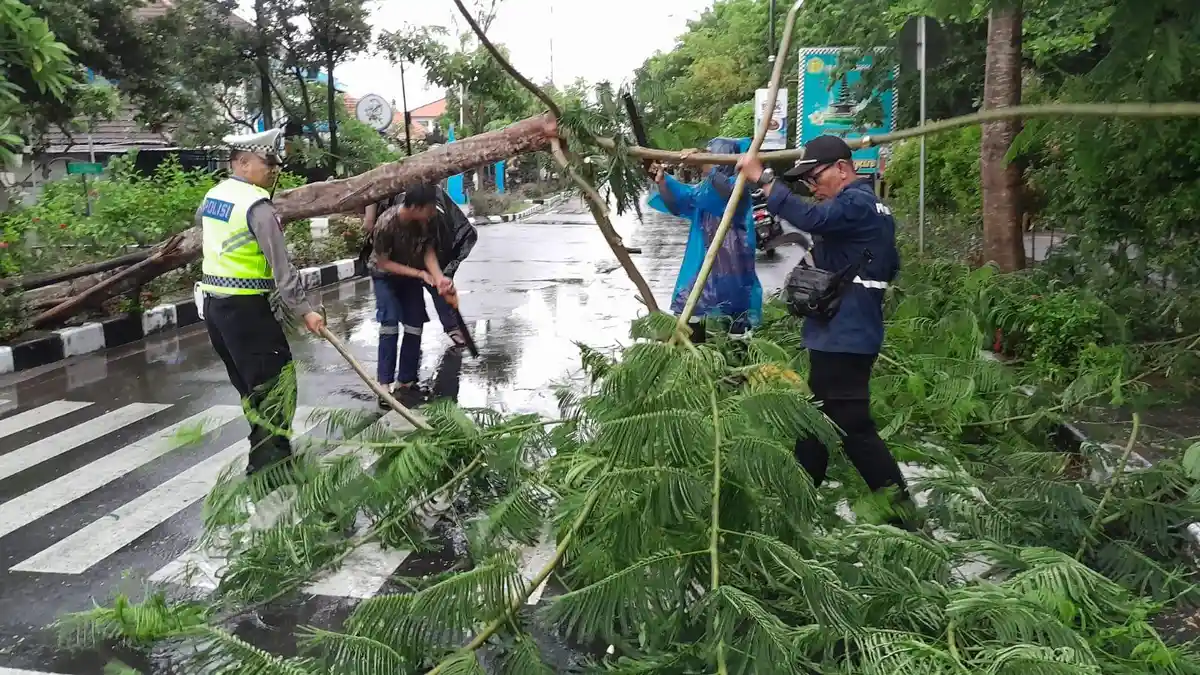 Hujan Deras Disertai Angin Kencang Sejak Dini Hari di Denpasar Tumbangkan Beberapa Pohon