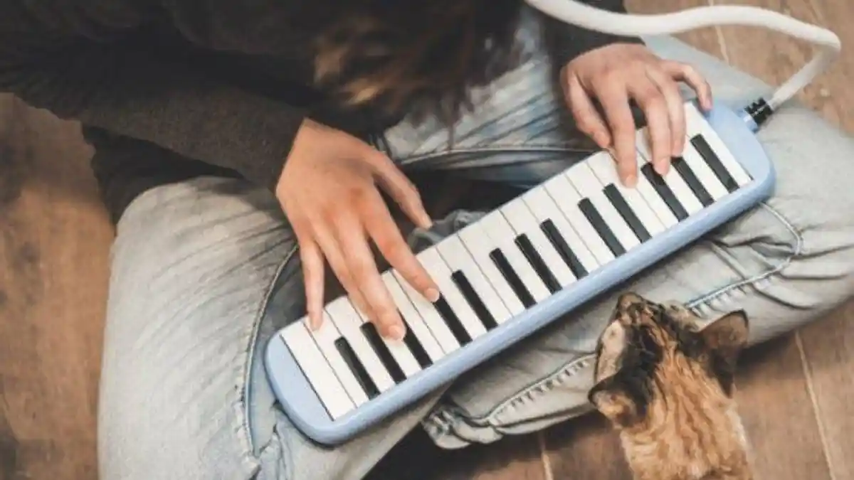 Mengenal Alat Musik Melodis dan Berbagai Contoh Alat Musik