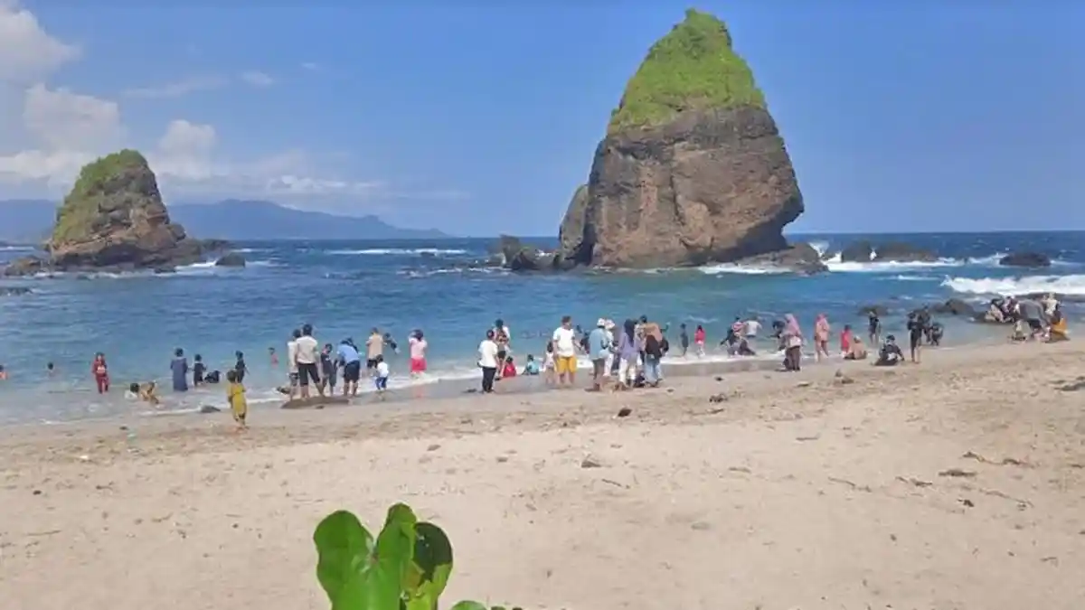 Profil Kabupaten Jember Lengkap Informasi Wisata, Kuliner Hingga Etimologi