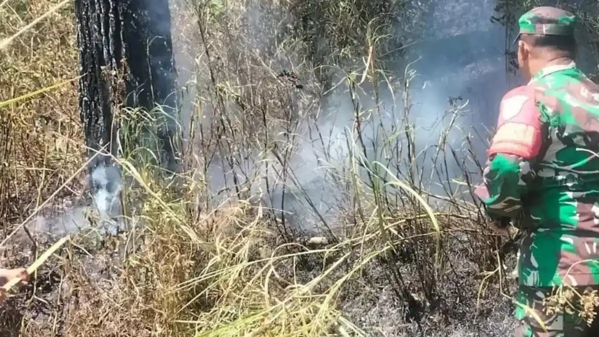 Lahan Ilalang di Kareumbi Kembali Terbakar, Diduga Akibat Terik Panas Kemarau