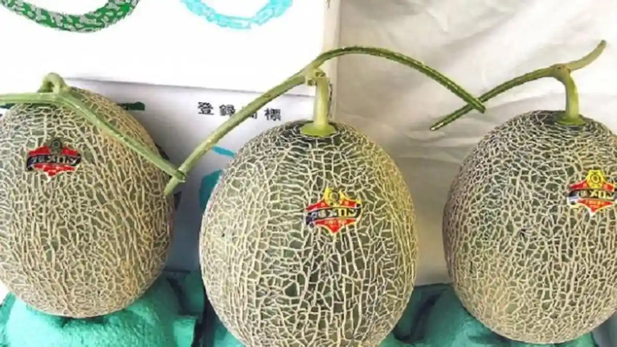 Tak Hanya Baik untuk Diet, Ini Manfaat Lain Buah Melon yang Jarang Diketahui