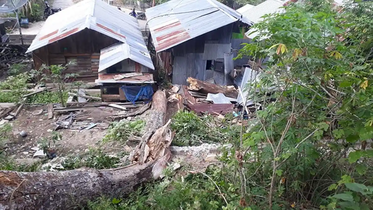 Dua Rumah Hancur Ditimpa Pohon Milik Muslim dan Bambang, Ini Penjelasan Keuchik