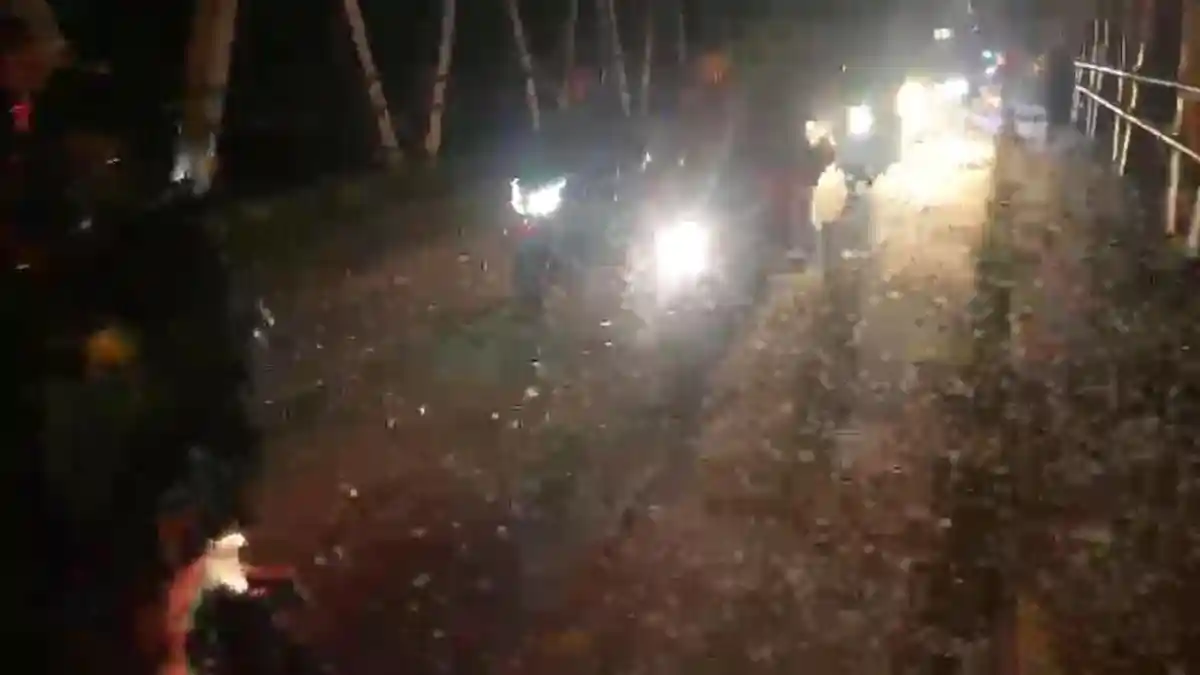 Pengendara Berjatuhan Diserbu Kawanan Serangga di Jembatan Serayu Banyumas
