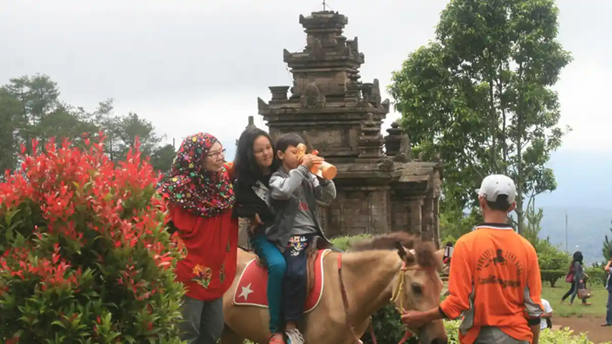 Asyiknya Keliling Candi Gedongsongo Semarang sembari Menunggang Kuda