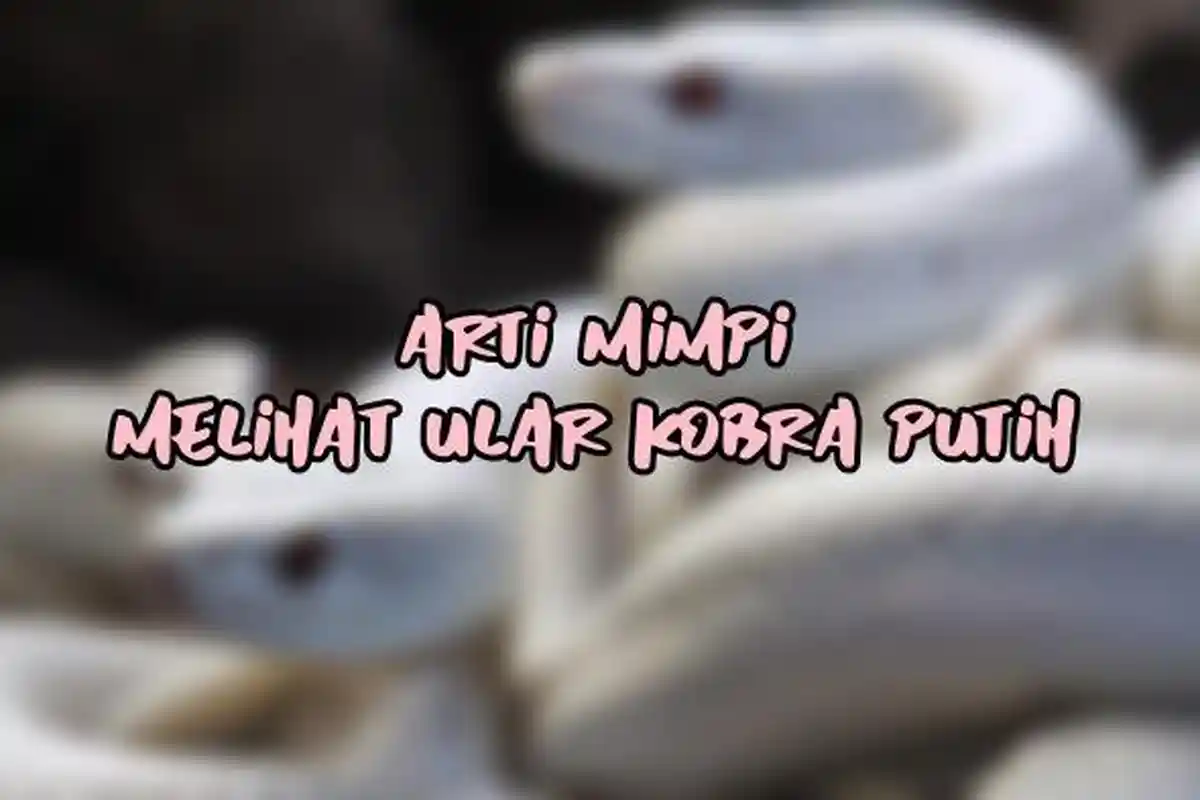 Arti Mimpi Melihat Ular Kobra Putih, Pertanda si Pemimpi Merasa Terancam, Ini Tafsir Lengkapnya