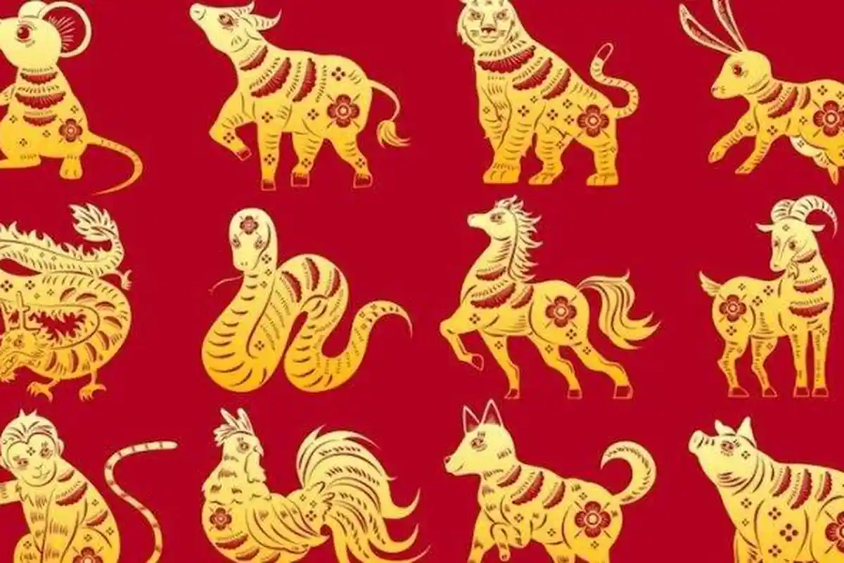 IMLEK 2021 - Shio Babi Jadikan Momen untuk Wujudkan Impian Kamu Hari Ini Jumat 8 Januari 2021